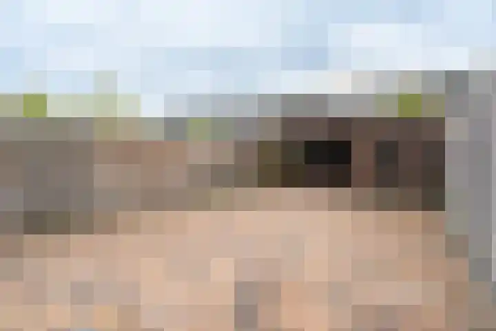 Traviatastraat 33 Alkmaar thumbnail 44