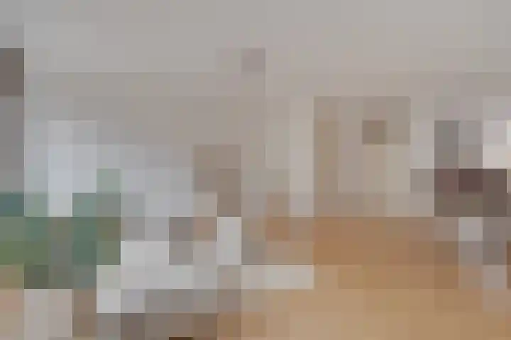 Traviatastraat 33 Alkmaar thumbnail 7