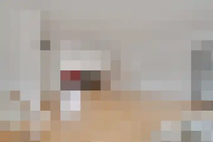 Traviatastraat 33 Alkmaar thumbnail 8