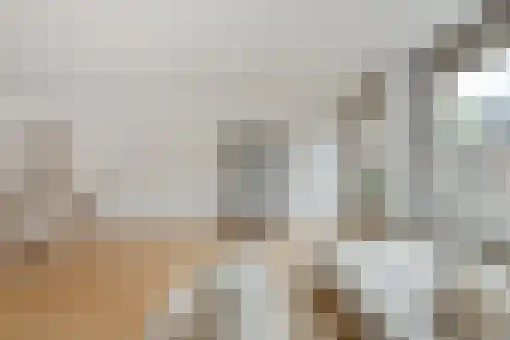 Traviatastraat 33 Alkmaar thumbnail 9