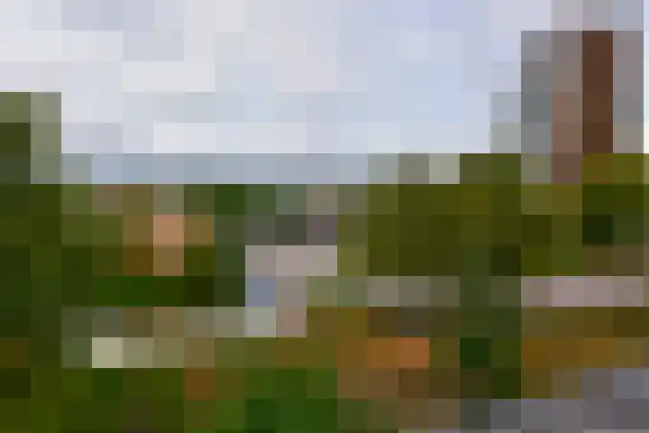 Traviatastraat 47 Amstelveen thumbnail 17