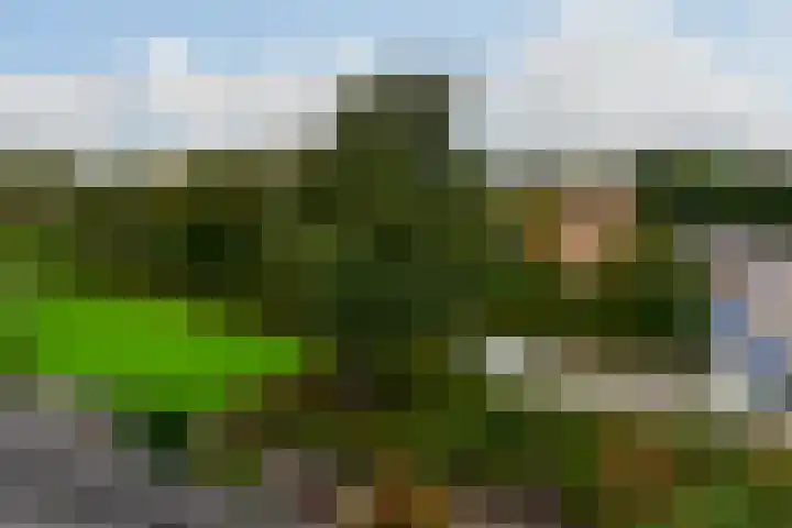 Traviatastraat 47 Amstelveen thumbnail 18