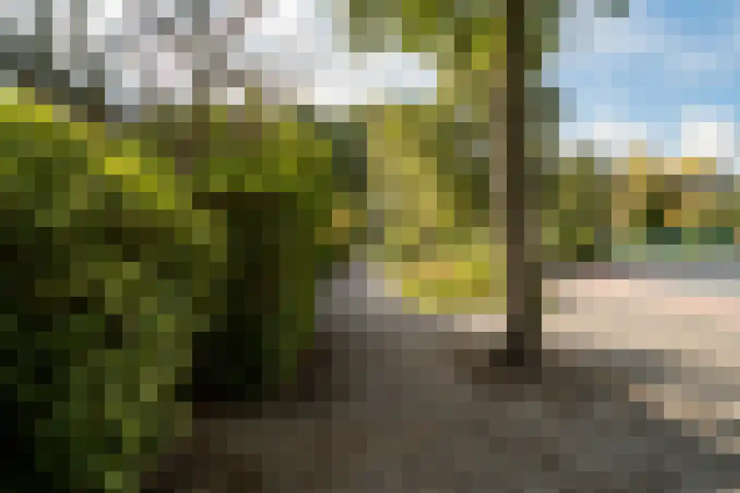 Traviatastraat 63 Amstelveen thumbnail 56
