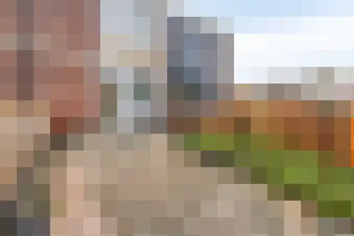 Traviataweg 34 Hoogvliet Rotterdam thumbnail 6