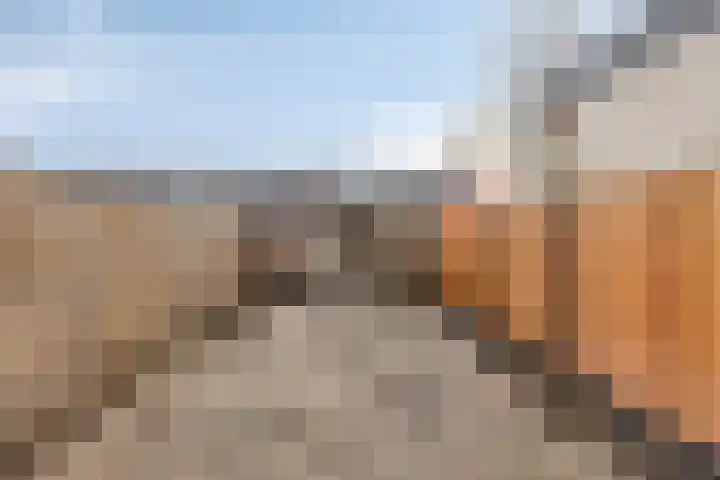 Traviataweg 34 Hoogvliet Rotterdam thumbnail 7