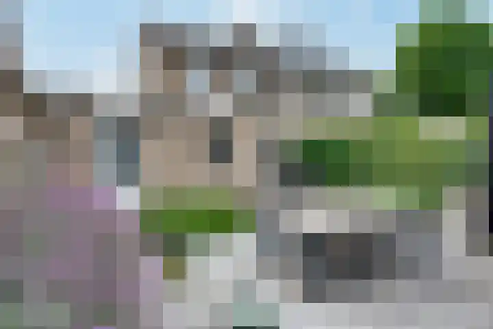 Trawlerstraat 3 's-Hertogenbosch thumbnail 22