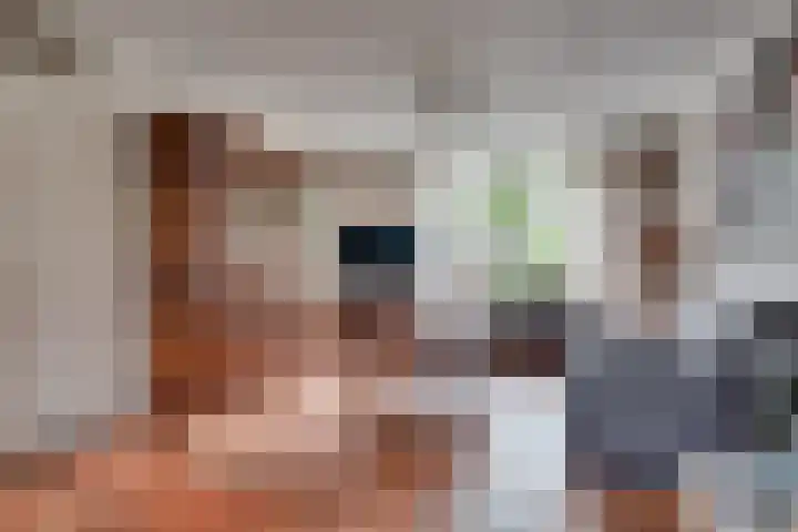 Trawlerstraat 3 's-Hertogenbosch thumbnail 6