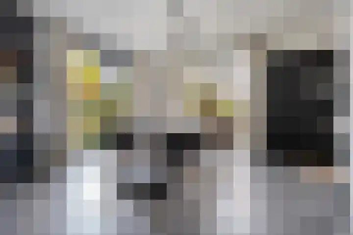 Trechterbeker 29 Dalfsen thumbnail 13