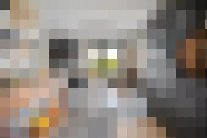 Trechterbeker 29 Dalfsen thumbnail 17