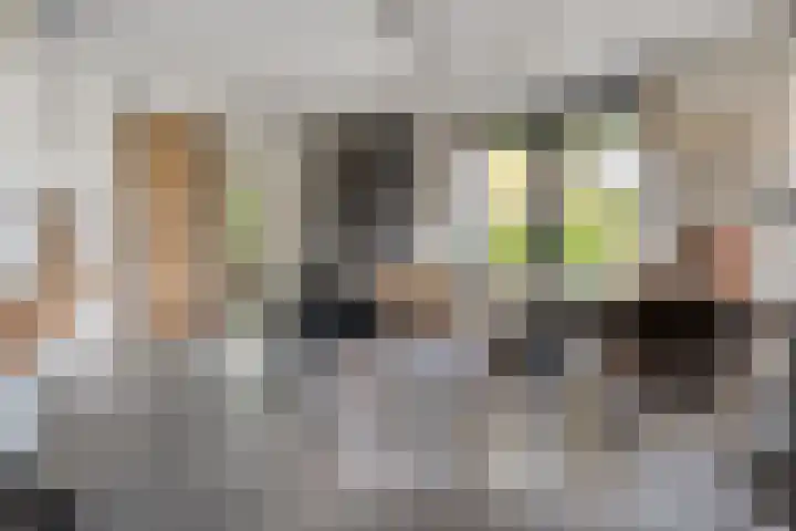 Trechterbeker 29 Dalfsen thumbnail 19