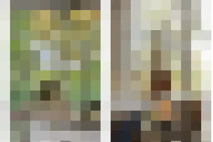 Trechterbeker 29 Dalfsen thumbnail 20