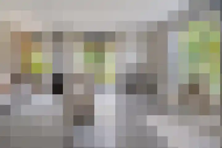 Trechterbeker 29 Dalfsen thumbnail 21