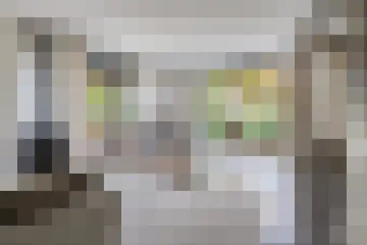 Trechterbeker 29 Dalfsen thumbnail 22