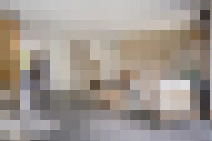 Trechterbeker 29 Dalfsen thumbnail 23
