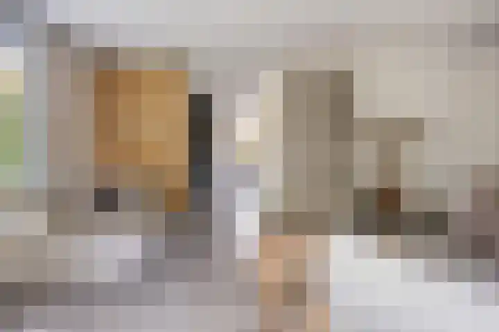 Trechterbeker 29 Dalfsen thumbnail 26