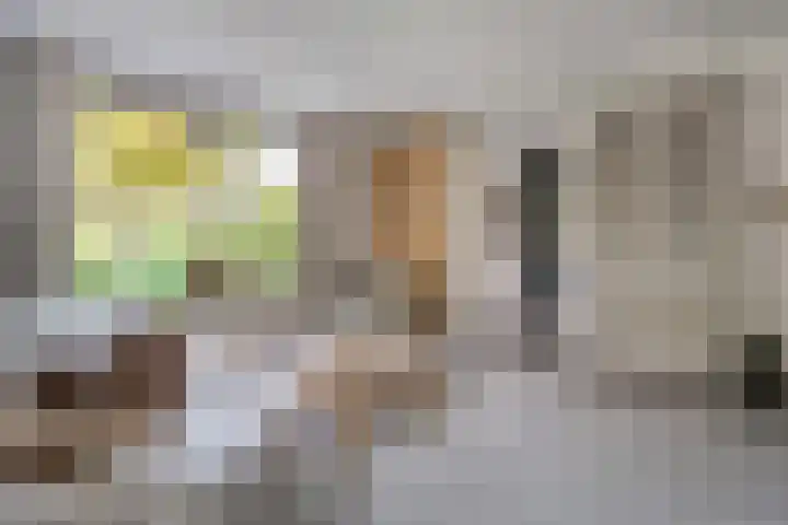 Trechterbeker 29 Dalfsen thumbnail 27
