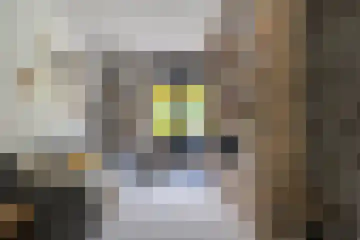 Trechterbeker 29 Dalfsen thumbnail 30