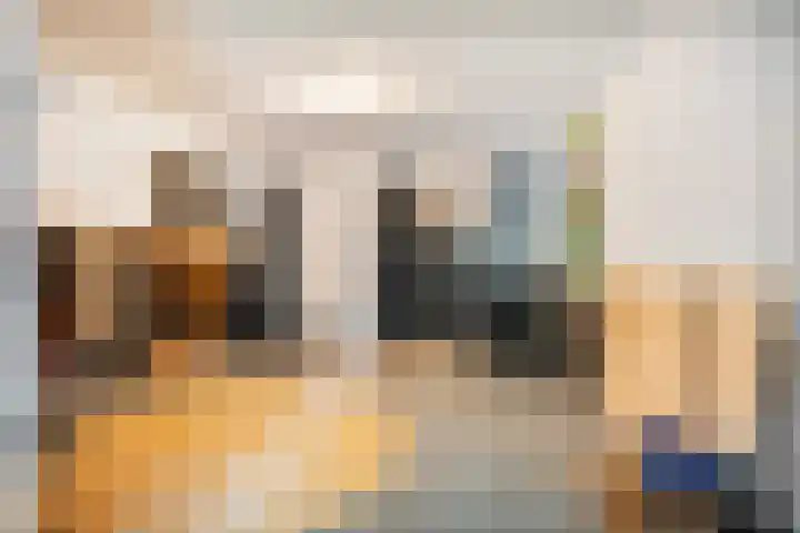 Trechterbeker 29 Dalfsen thumbnail 33