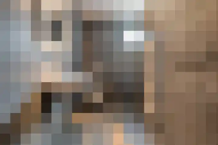 Trechterbeker 29 Dalfsen thumbnail 34
