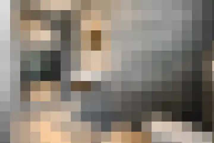 Trechterbeker 29 Dalfsen thumbnail 36