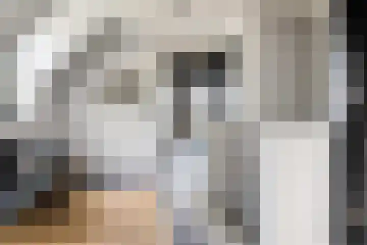 Trechterbeker 29 Dalfsen thumbnail 37