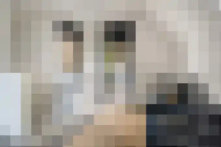Trechterbeker 29 Dalfsen thumbnail 38