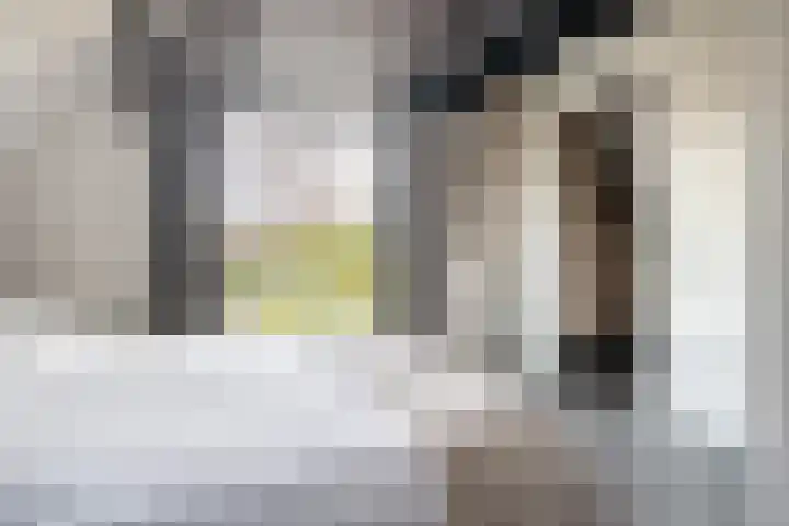 Trechterbeker 29 Dalfsen thumbnail 40