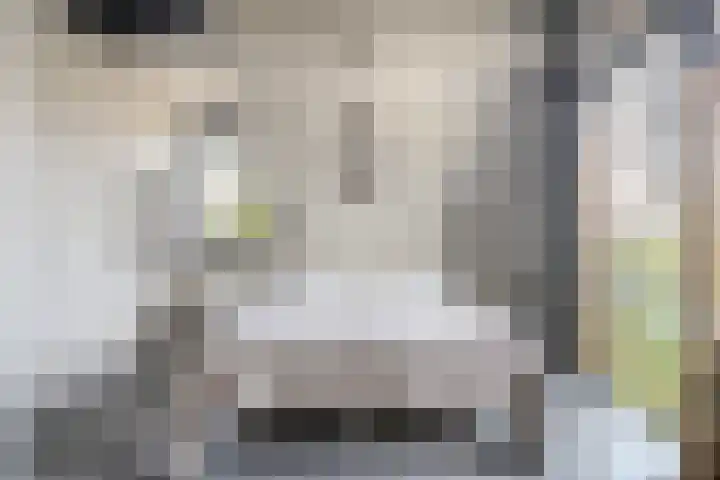 Trechterbeker 29 Dalfsen thumbnail 41