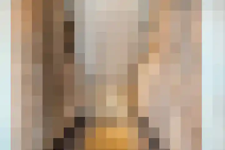 Trechterbeker 29 Dalfsen thumbnail 42