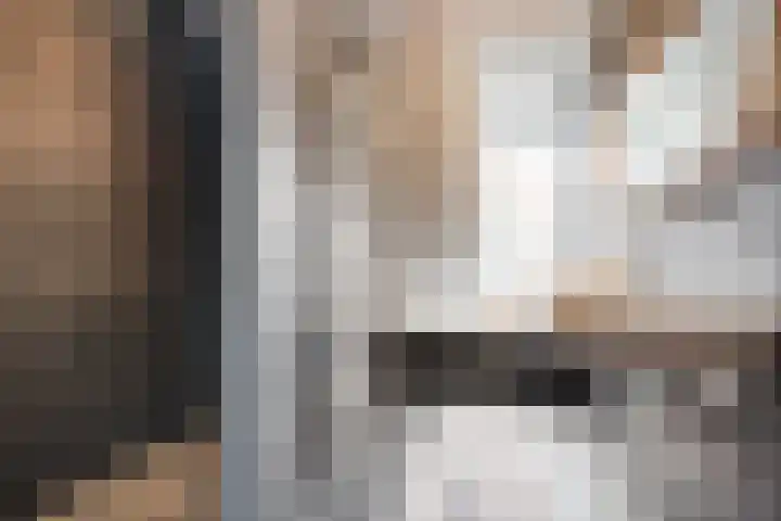 Trechterbeker 29 Dalfsen thumbnail 43