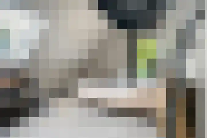 Trechterbeker 29 Dalfsen thumbnail 47