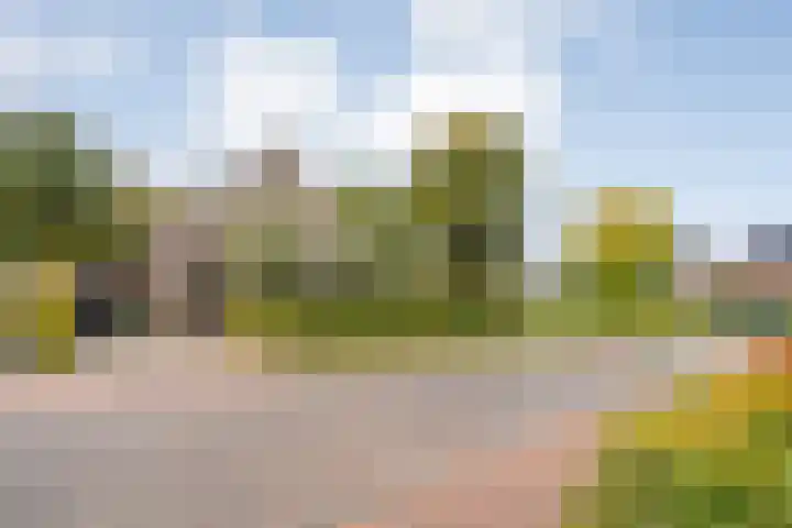 Trechterbeker 29 Dalfsen thumbnail 5