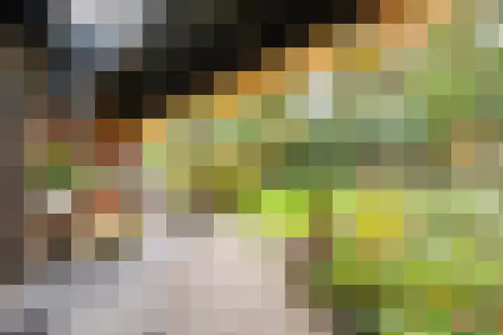 Trechterbeker 29 Dalfsen thumbnail 50