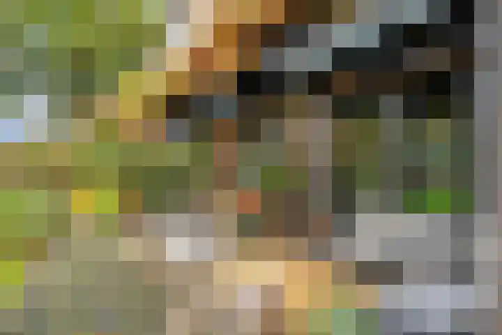 Trechterbeker 29 Dalfsen thumbnail 51