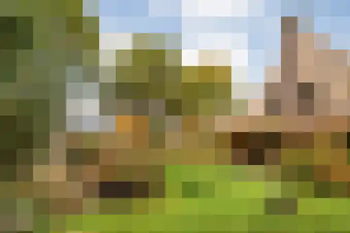 Trechterbeker 29 Dalfsen thumbnail 56