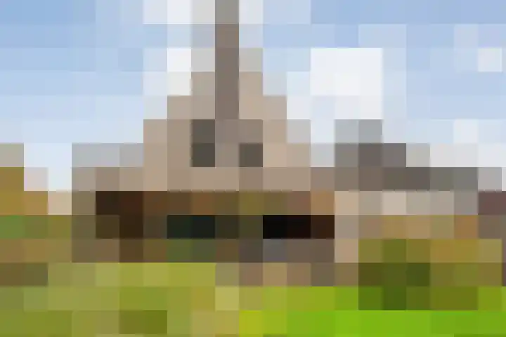 Trechterbeker 29 Dalfsen thumbnail 57