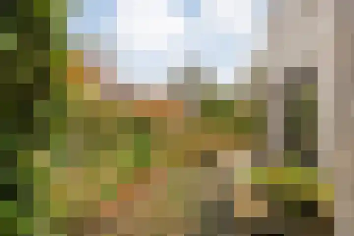 Trechterbeker 29 Dalfsen thumbnail 58