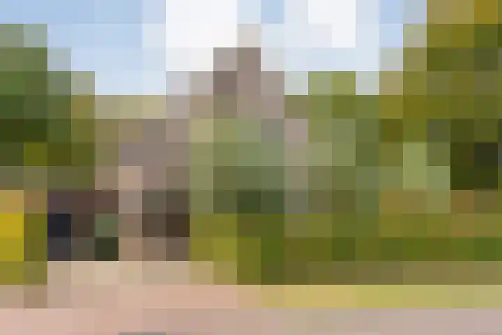 Trechterbeker 29 Dalfsen thumbnail 6