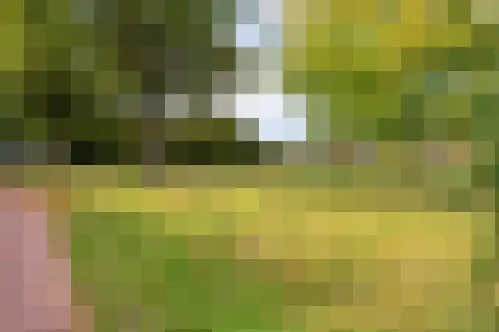 Trechterbeker 29 Dalfsen thumbnail 61