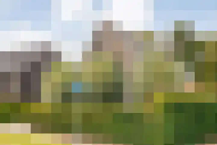 Trechterbeker 29 Dalfsen thumbnail 62