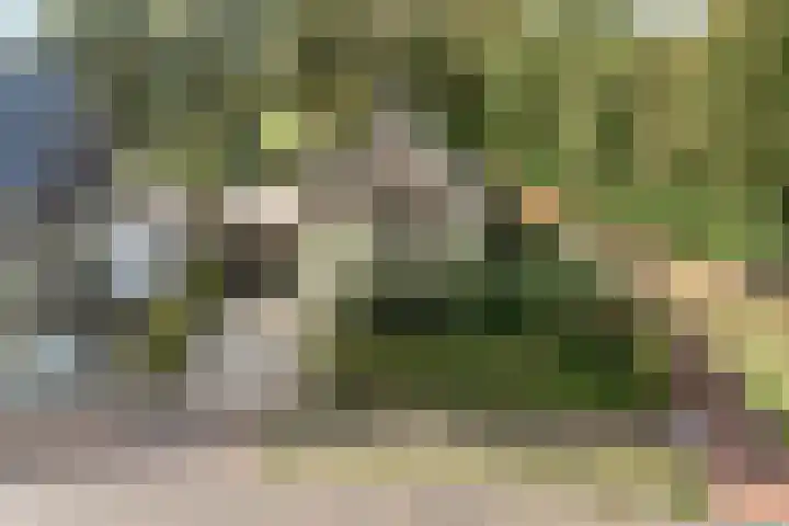 Trechterbeker 29 Dalfsen thumbnail 63