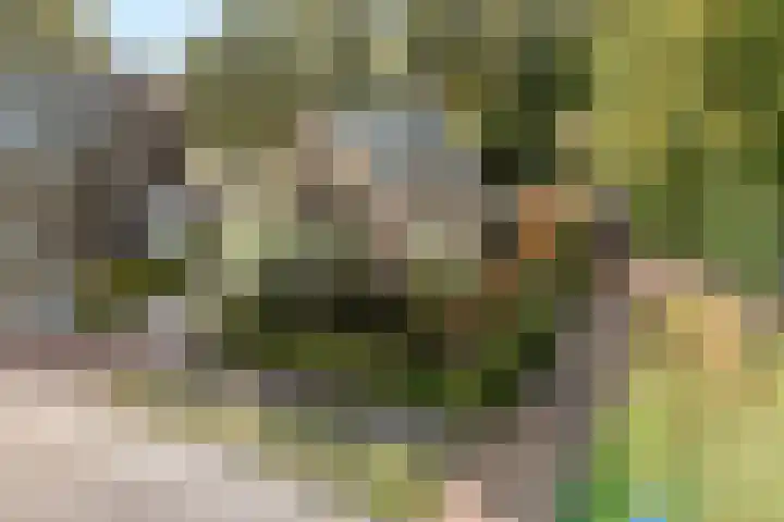 Trechterbeker 29 Dalfsen thumbnail 65