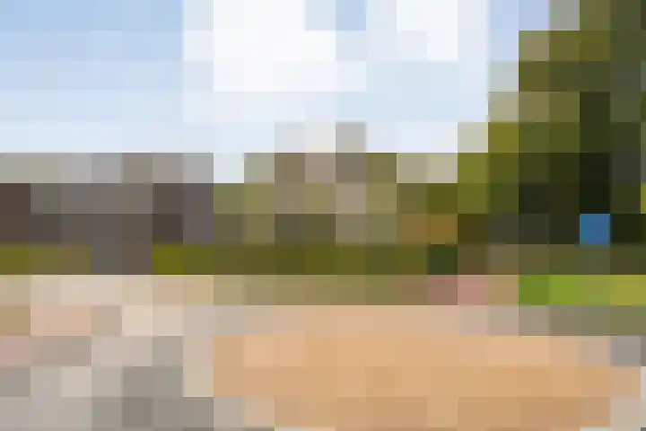 Trechterbeker 29 Dalfsen thumbnail 66
