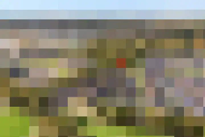 Trechterbeker 29 Dalfsen thumbnail 67