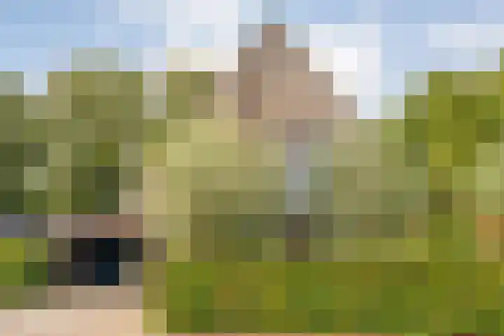 Trechterbeker 29 Dalfsen thumbnail 7