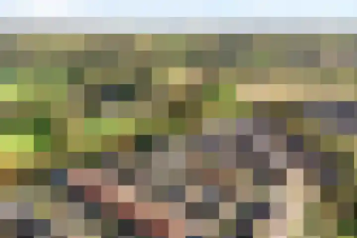 Trechterbeker 29 Dalfsen thumbnail 70