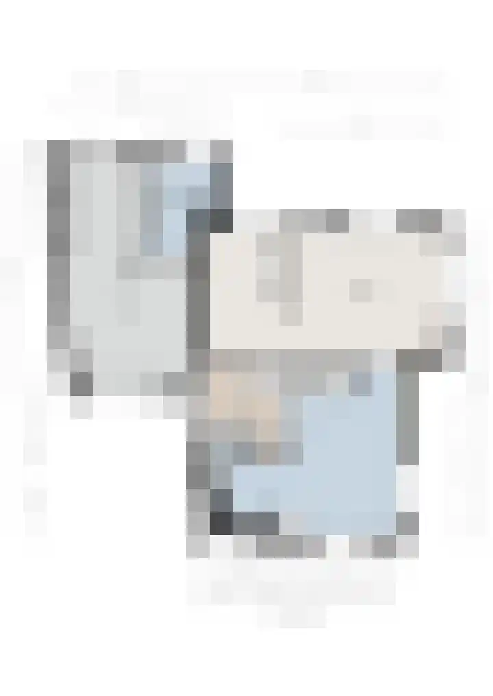 Trechterbeker 29 Dalfsen thumbnail 71