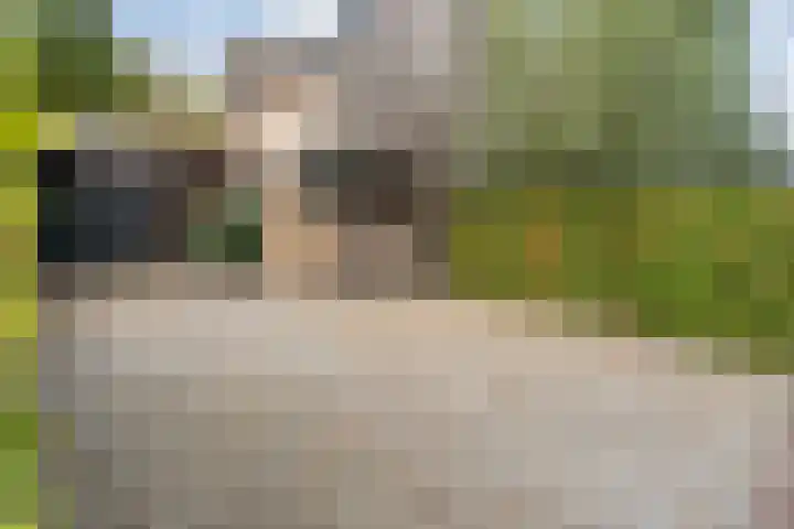 Trechterbeker 29 Dalfsen thumbnail 8