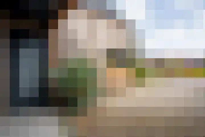 Trechterbeker 29 Dalfsen thumbnail 9
