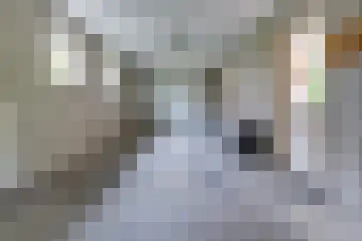 Trechterbeker 41 Borger thumbnail 11
